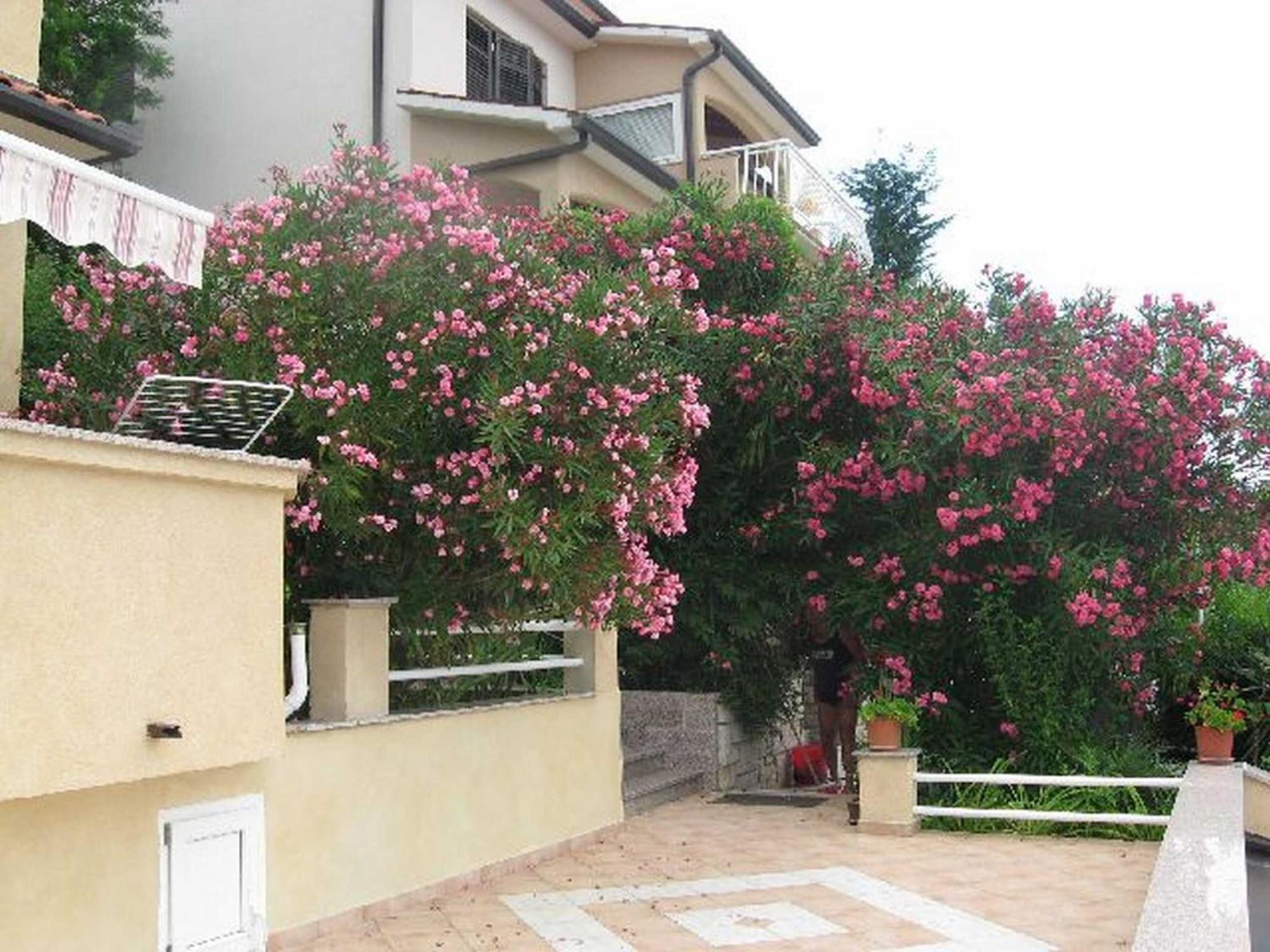 Apartments Silmare Rabac Kültér fotó
