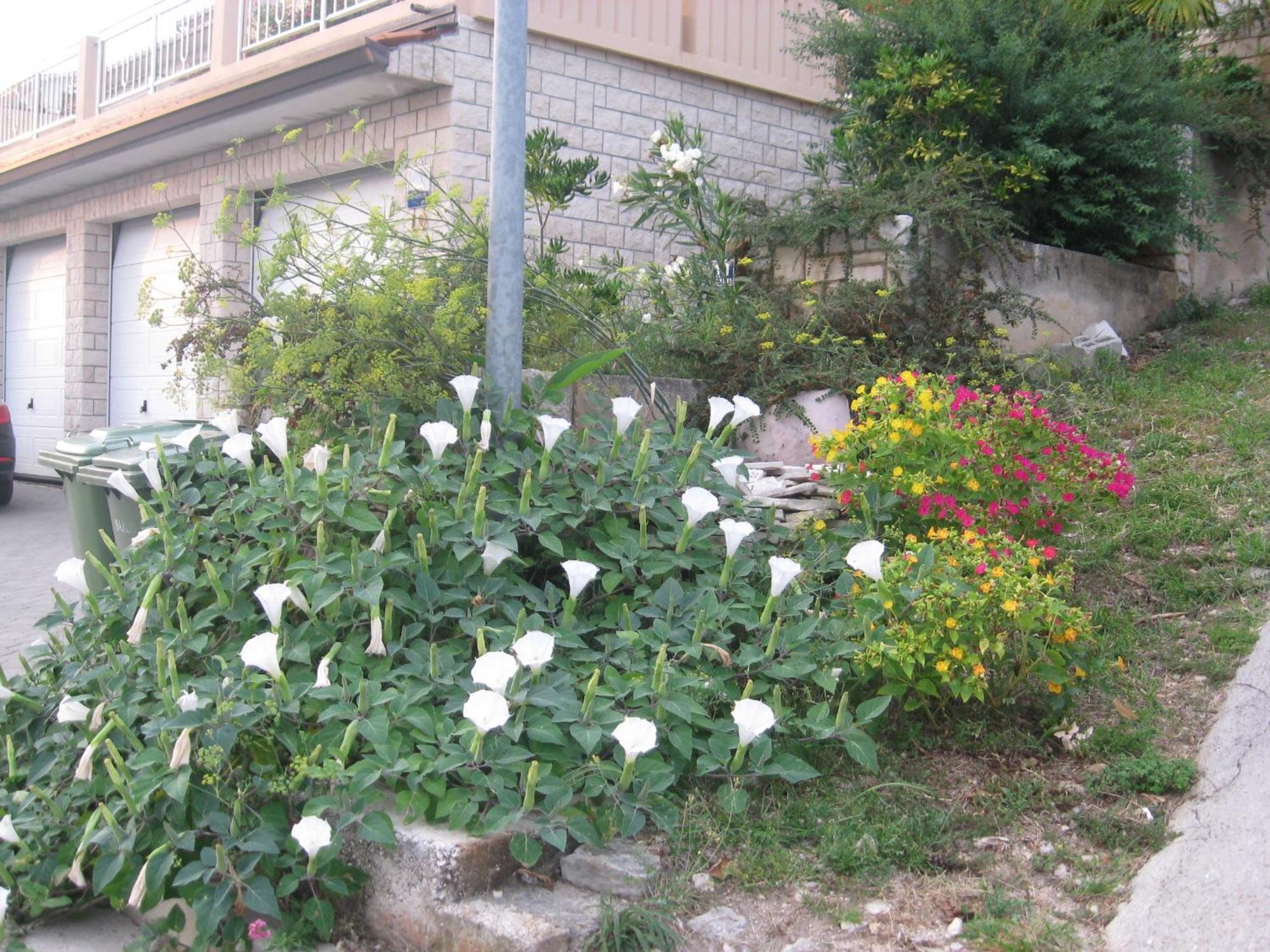 Apartments Silmare Rabac Szoba fotó